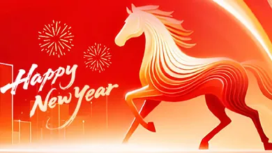 Chinese New Year Holiday Notice 2026